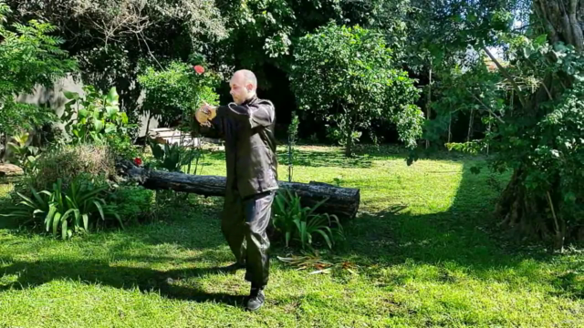 Tai Chi Sword 16 Form – Screenshot 4