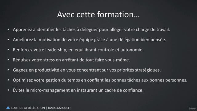 Délégation Efficace Pour Les Managers – Screenshot 4