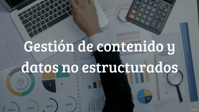 Data Management & Strategy basado en DAMA – Screenshot 3