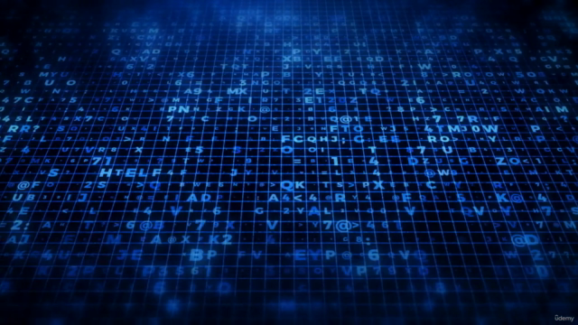 Data Management & Strategy basado en DAMA – Screenshot 4