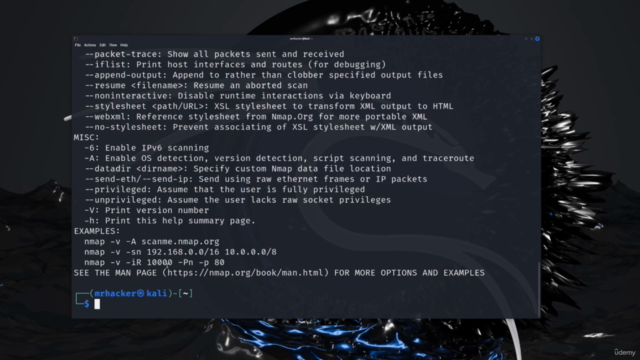 Vulnerability & Network Scanning: Tools, Techniques, Tactics – Screenshot 3