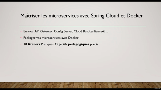 Maîtriser les Microservices avec Spring Cloud et Docker – Screenshot 2