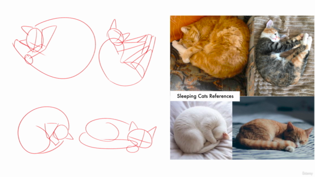 Cat Drawing Challenge: Draw Dynamic Cat Poses Easily – Screenshot 2