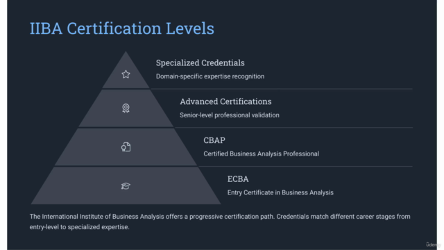 Business Analysis Fundamentals for Organizational Success!! – Screenshot 2