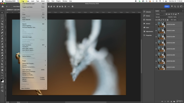 Macro Photography: Zero to Sixty – Screenshot 3