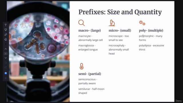 Master Medical & Pharmacy Terminology – Screenshot 3