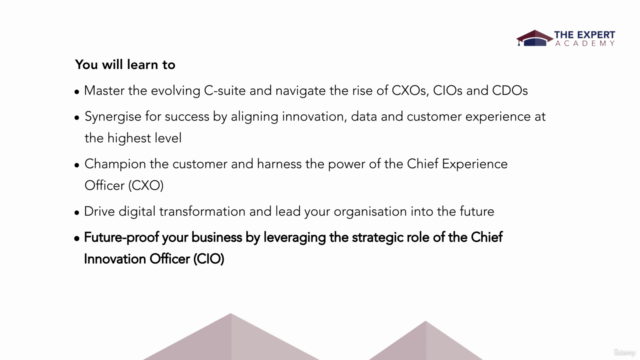 Leadership: Emerging Modern C-Suite Roles For Growth – Screenshot 3