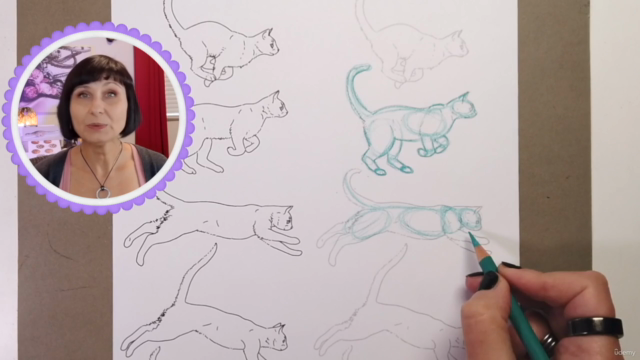How To Draw Realistic CATS – Screenshot 2