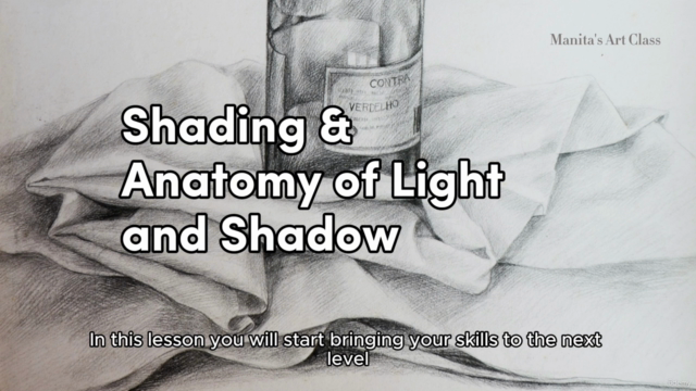 Foundations of Drawing:  The Complete Beginner's Course 1 – Screenshot 2