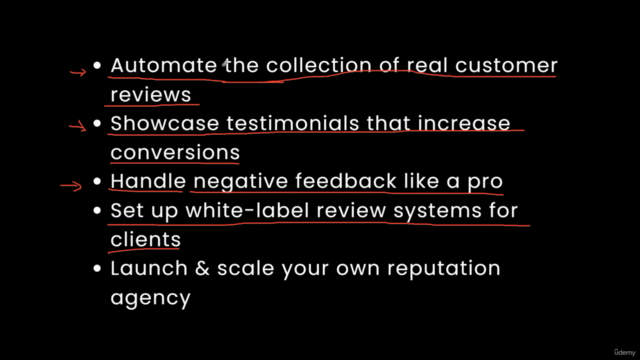 Online Reputation Management for [Agencies & SMBs w/ AI] – Screenshot 2
