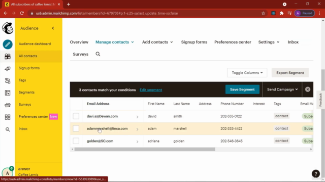 Mastering Mailchimp: Email Marketing for Beginners – Screenshot 2