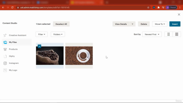 Mastering Mailchimp: Email Marketing for Beginners – Screenshot 3