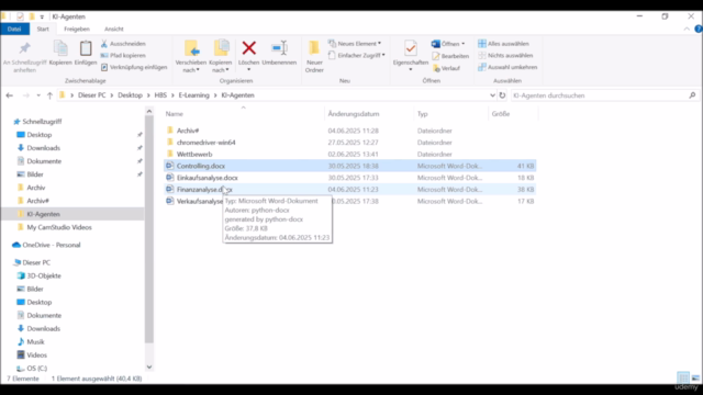 Controlling mit KI-Agenten automatisieren – Screenshot 2