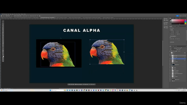 Conviértete en DESIGN GRAFICO: Curso Completo y Práctico – Screenshot 4