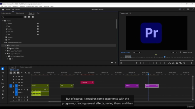 Premiere Pro Essentials – Screenshot 4