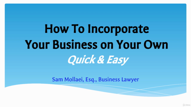 How to Incorporate Your Business On Your Own – Screenshot 1