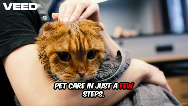 Training, control , Cultural Care & vaccina for Cats & Dogs – Screenshot 2