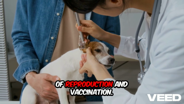 Training, control , Cultural Care & vaccina for Cats & Dogs – Screenshot 3