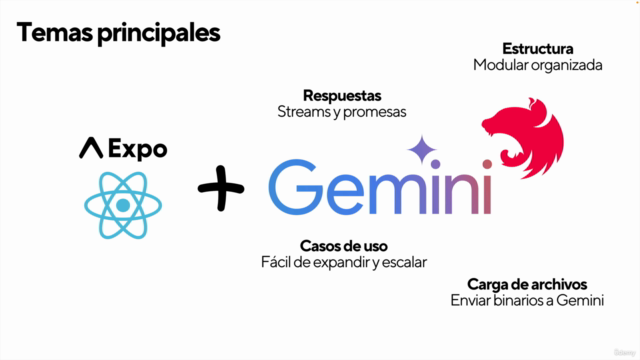 Expo + Gemini: Aplicaciones con inteligencia artificial – Screenshot 1