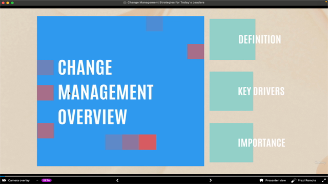 Change Management Strategies for Today’s Leaders – Screenshot 2