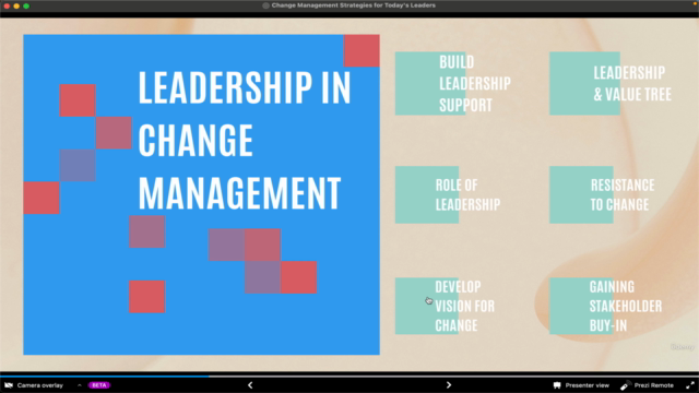 Change Management Strategies for Today’s Leaders – Screenshot 3