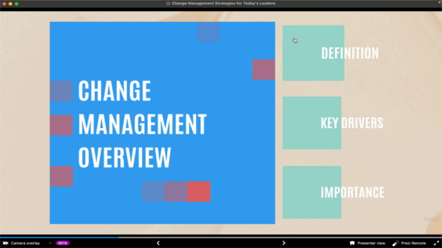 Change Management Strategies for Today’s Leaders – Screenshot 4