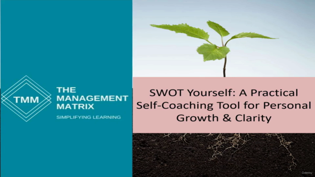 SWOT Yourself – Screenshot 1