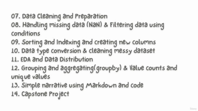 Master Data Analysis with Python - From Beginner to Pro – Screenshot 2