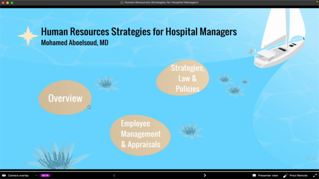 Human Resources Strategies for Hospital Managers – Screenshot 1