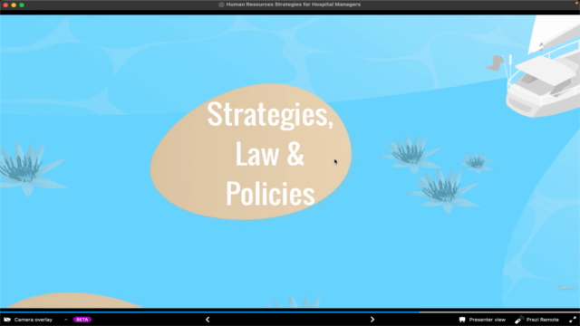 Human Resources Strategies for Hospital Managers – Screenshot 3