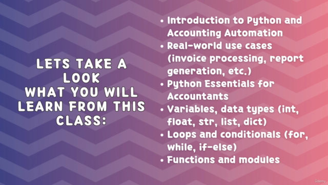 Advanced Python Automation for Excel and Accounting – Screenshot 1