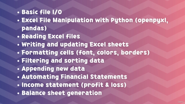 Advanced Python Automation for Excel and Accounting – Screenshot 2
