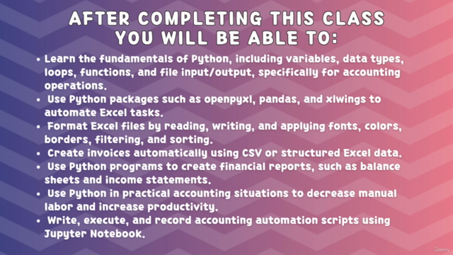 Advanced Python Automation for Excel and Accounting – Screenshot 3