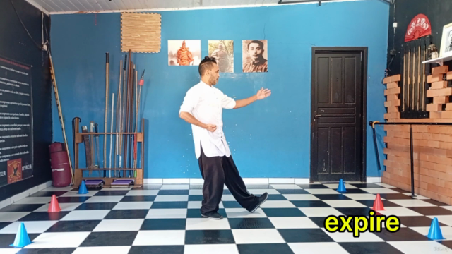 Tai Chi Chuan em 24 Passos – Screenshot 2