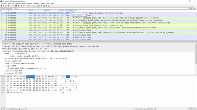 Wireshark Mastery: Network Traffic Analysis – Screenshot 1
