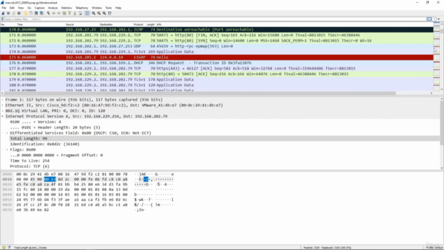 Wireshark Mastery: Network Traffic Analysis – Screenshot 2