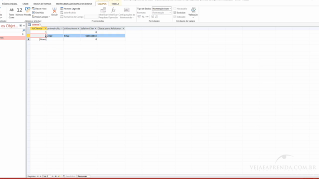 Aprenda tudo sobre Access 2013 – Screenshot 2