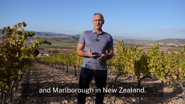 Learn About Rioja Wine – Free Short Course for Wine Lovers – Screenshot 2