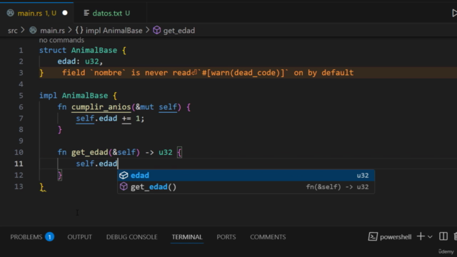 Fundamentos de RUST desde Cero – Screenshot 2
