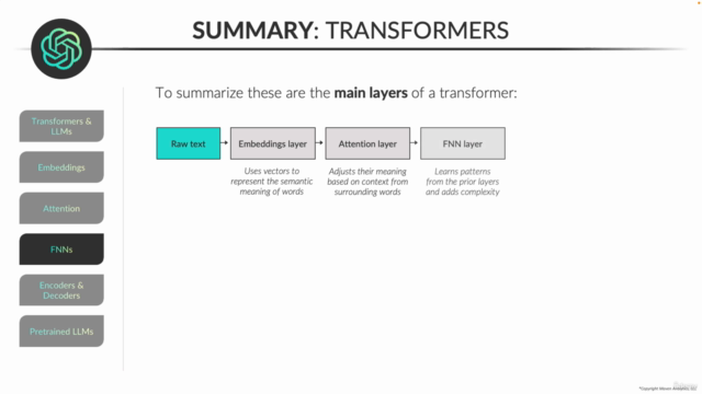 Natural Language Processing in Python (NEW for 2025!) – Screenshot 3