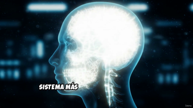 NeuroMastery: La Ciencia de la Gestión Emocional – Screenshot 1