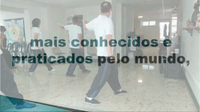 Tai Chi Chuan - Nível Básico Estilo Yang – Screenshot 3