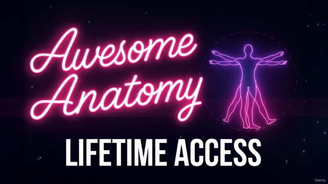 Awesome Anatomy for Physio, Sports & Massage Therapists – Screenshot 4