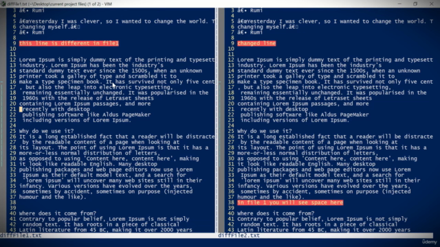 Master Vim: Guide to Ultimate Text Editor – Screenshot 2