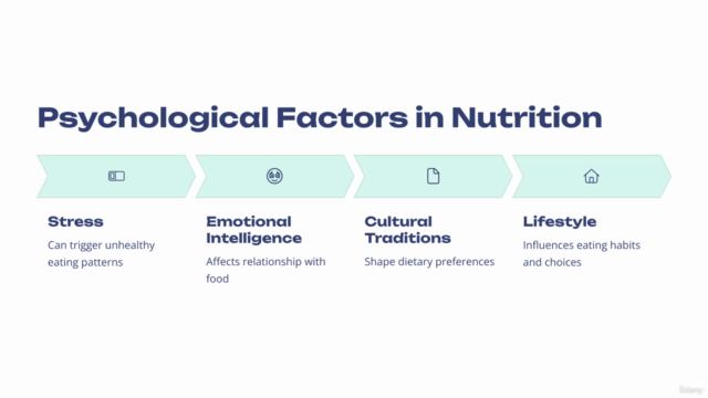 Nutrition Certification Course: Complete Course From Scratch – Screenshot 2