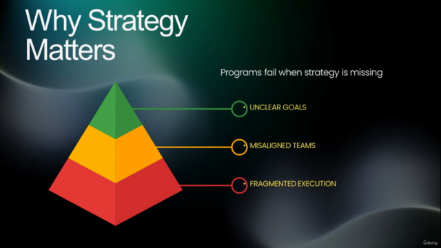 Create a Program Management Strategy - Program Strategy Tips – Screenshot 3