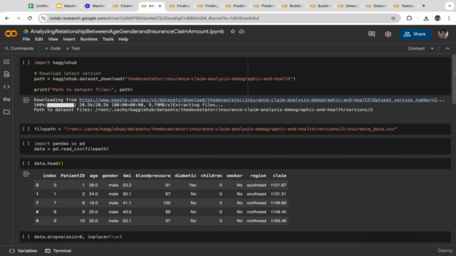 Machine Learning for Insurance: Predict Claim & Assess Risk – Screenshot 1