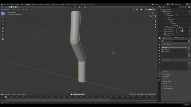 Blender – EXPERTE für Rigging und Animation von 3D-Charakter – Screenshot 4