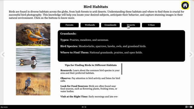 Designing interactive eLearning with Indesign and educaplay – Screenshot 3