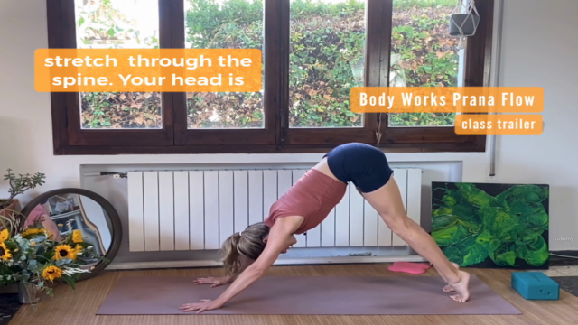 Vinyasa Yoga for Strength and Agility. Body Works Prana Flow – Screenshot 4